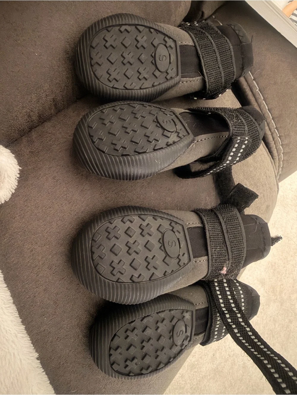 Dog shoes